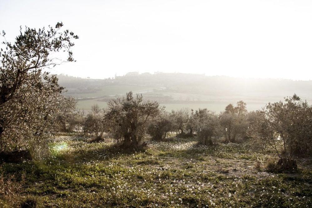 Masia Cal Millas - Turisme Rural Castellfullit de Riubregos エクステリア 写真