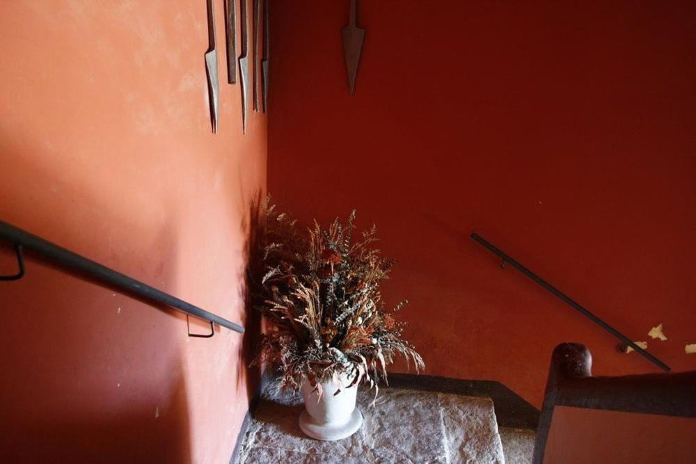 Masia Cal Millas - Turisme Rural Castellfullit de Riubregos エクステリア 写真